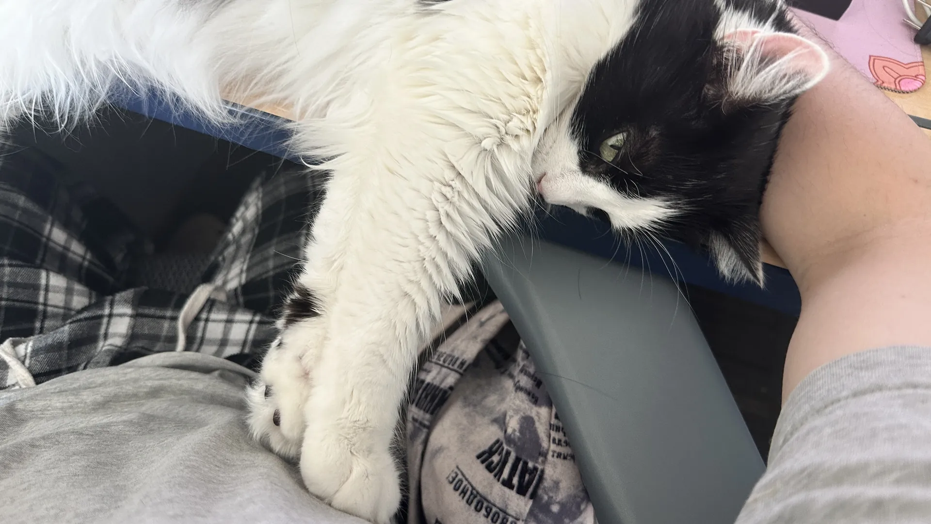 two months with Mila