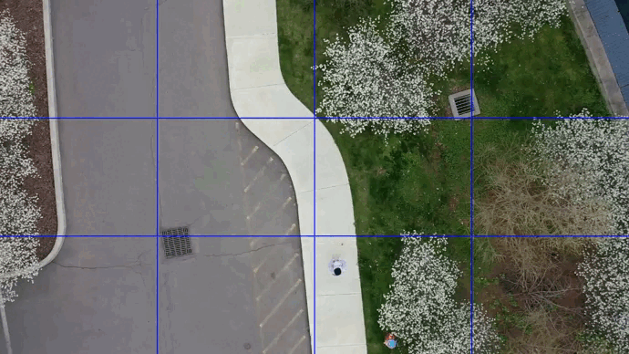 Real-time Pedistrian Detect